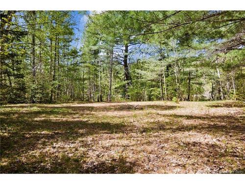 24 Abernethy Rd, Durham Bridge, NB 