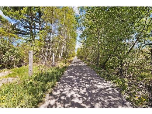 24 Abernethy Rd, Durham Bridge, NB 
