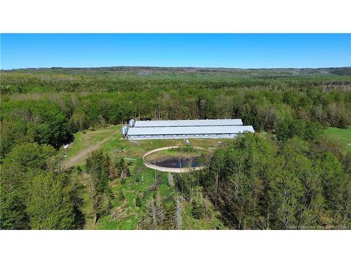 Lot 104 Rte, Carlisle, NB 