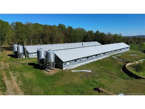 Lot 104 Rte, Carlisle, NB 