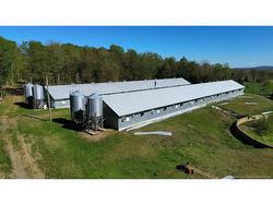 LOT 104 RTE Carlisle, NB E7P 1W8