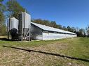 Lot 104 Rte, Carlisle, NB 