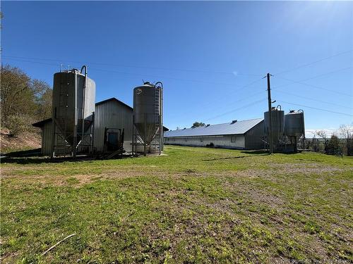 Lot 104 Rte, Carlisle, NB 