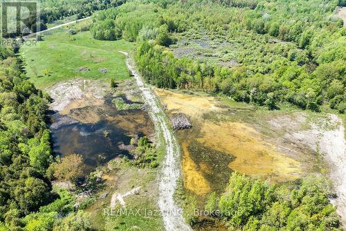 4148 Highway #2, Clarington, ON 