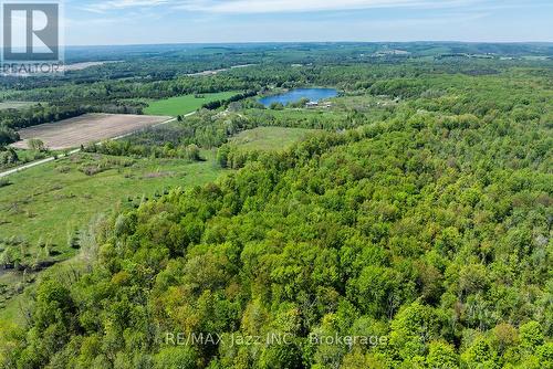 4148 Highway #2, Clarington, ON 