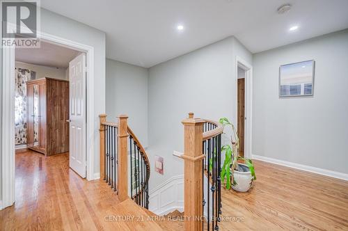 189 Louis Drive, Mississauga, ON 