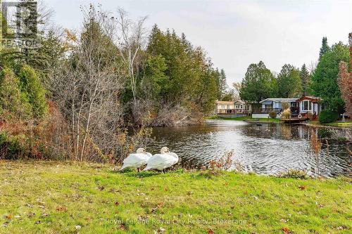 9 Bush Lane, Puslinch, ON - Outdoor With Body Of Water