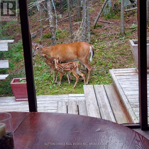 104 Hemlock Island, East Ferris, ON 