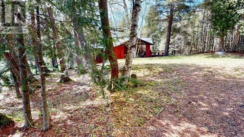 104 Hemlock Island, East Ferris, ON 