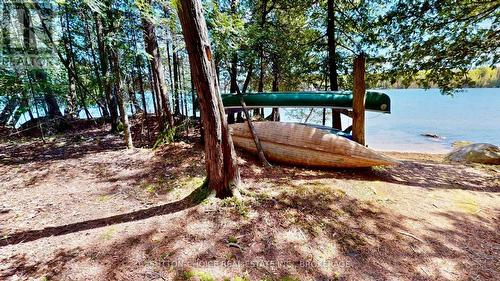 104 Hemlock Island, East Ferris, ON 