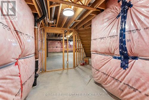 115 South Carriage Road, London North (North I), ON - Indoor Photo Showing Basement