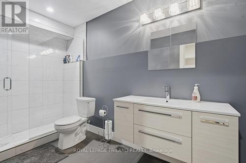 Lower Level: Self Contained Unit Bathroom - 20 Garfield Avenue, London South (South F), ON - Indoor Photo Showing Bathroom