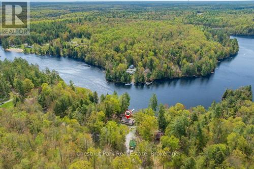 Muskoka River - 13km of Boating - 1026 Carlson Place, Bracebridge (Draper), ON - Outdoor With Body Of Water With View
