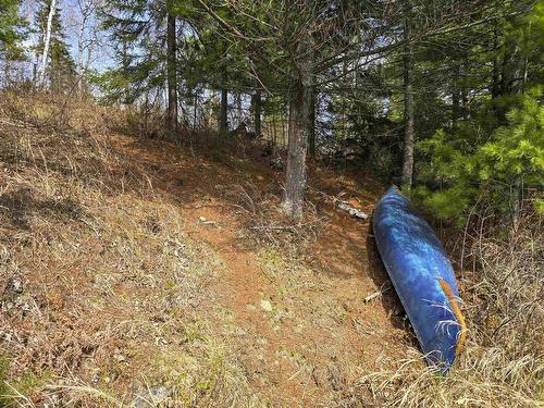 564 Hematite Road, Atikokan, ON - Outdoor With View