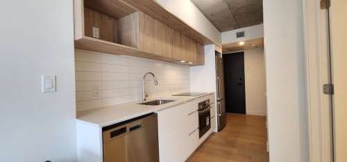 Kitchen - 302-1 Av. Viger O., Montréal (Ville-Marie), QC - Indoor Photo Showing Kitchen