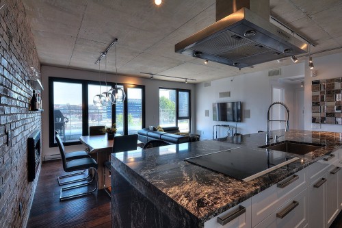 703-288 Rue Ann  Montréal (Le Sud-Ouest), QC H3C 0L3
