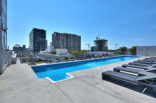 Pool - 703-288 Rue Ann, Montréal (Le Sud-Ouest), QC - Outdoor With In Ground Pool