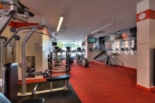 Exercise Room - 703-288 Rue Ann, Montréal (Le Sud-Ouest), QC - Indoor Photo Showing Other Room