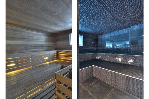 Spa - 703-288 Rue Ann, Montréal (Le Sud-Ouest), QC - Indoor Photo Showing Other Room