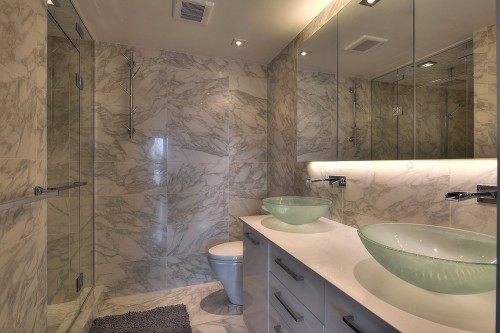 Bathroom - 703-288 Rue Ann, Montréal (Le Sud-Ouest), QC - Indoor Photo Showing Bathroom