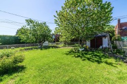 Courtyard - 