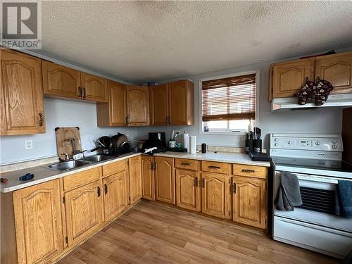 403 Queen Street, Sudbury, ON - Indoor Photo Showing Kitchen With Double Sink