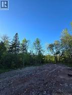 328 Drurys Cove Road Drurys Cove, NB E4E 3L6