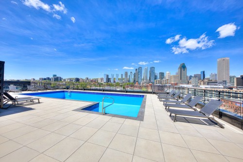 Piscine - 413-1485 Rue Des Bassins, Montréal (Le Sud-Ouest), QC - Outdoor With In Ground Pool