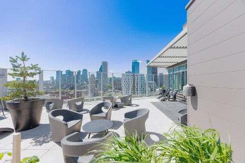Patio - 507-888 Rue Wellington, Montréal (Ville-Marie), QC - Outdoor