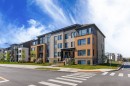 Front of Structure - 2-5805 Rue De Champagnier, Brossard, QC  - Outdoor With Facade 