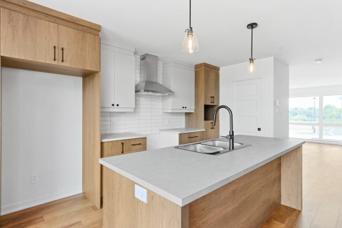 Kitchen - 67Z Rue Des Pêcheurs, Saint-Louis-De-Gonzague, QC - Indoor Photo Showing Kitchen With Double Sink