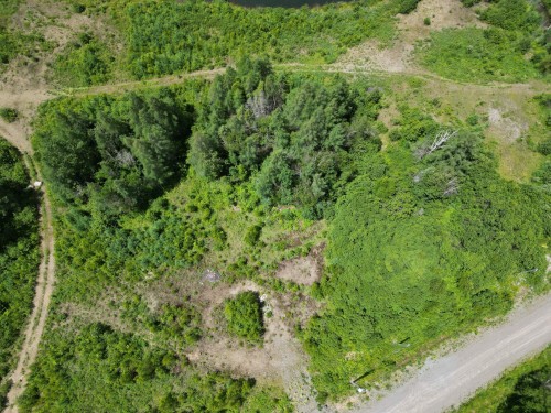 Terre/Terrain - Ch. Des Estragons, Lantier, QC 