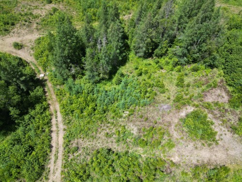 Terre/Terrain - Ch. Des Estragons, Lantier, QC 