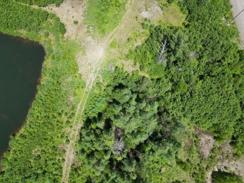 Terre/Terrain - Ch. Des Estragons, Lantier, QC 