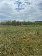 Lot 21-1 WILL ROGERS RD Lutes Mountain, NB E1G 2X7