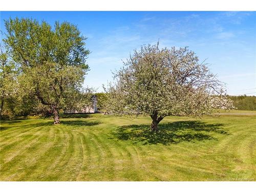 30 Willow Ave, Tracy, NB 