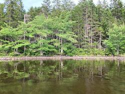0 Lac A Pic Road East Quinan, NS B0W 3M0