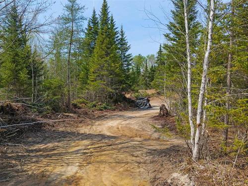 310 Johnson Road, Coldstream, NS 