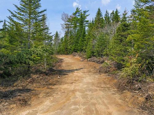 310 Johnson Road, Coldstream, NS 