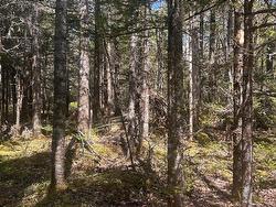 Lot 16 Somerset Drive East Sable River, NS B0T 1V0