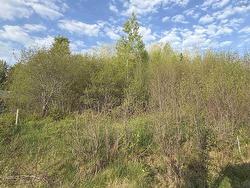 Lot 19 Belair Drive Conway, NS B0V 1A0