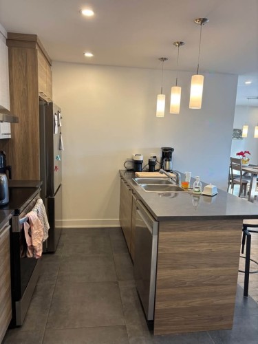 Cuisine - 302-492 Rue Jacques-Cartier S., Saint-Jean-Sur-Richelieu, QC - Indoor Photo Showing Kitchen With Double Sink