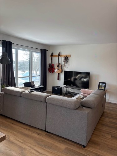 Salon - 302-492 Rue Jacques-Cartier S., Saint-Jean-Sur-Richelieu, QC - Indoor Photo Showing Living Room