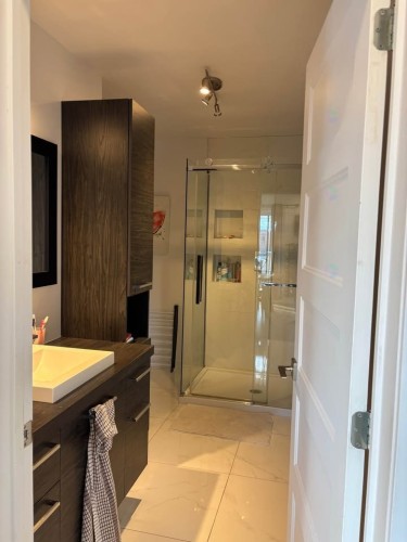 Salle de bains - 302-492 Rue Jacques-Cartier S., Saint-Jean-Sur-Richelieu, QC - Indoor Photo Showing Bathroom