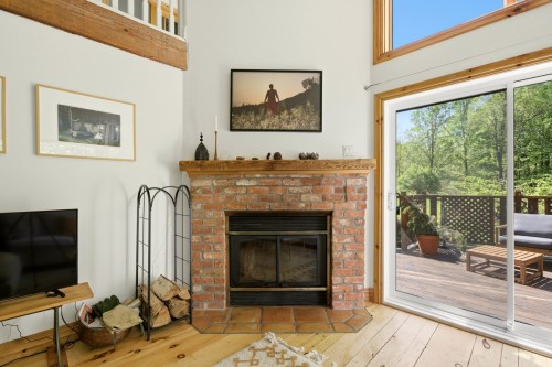 Living Room - 250 Ch. Judd, Sutton, QC - Indoor Photo Showing Living Room With Fireplace