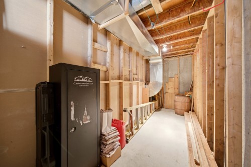 Basement - 250 Ch. Judd, Sutton, QC - Indoor