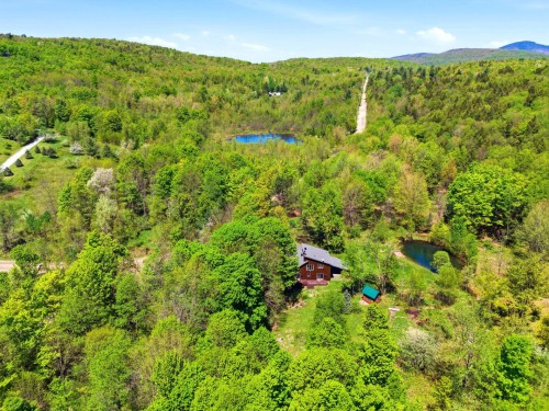 Aerial View - 250 Ch. Judd, Sutton, QC - Outdoor With View