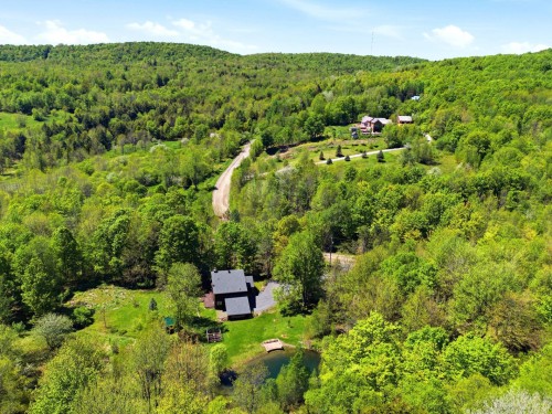 Aerial View - 250 Ch. Judd, Sutton, QC - Outdoor With View