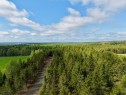 Wooded area - 382 4E Rang, Adstock, QC 