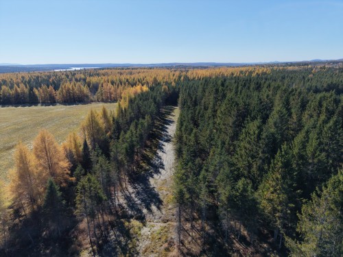 Terre/Terrain - 382 4E Rang, Adstock, QC 